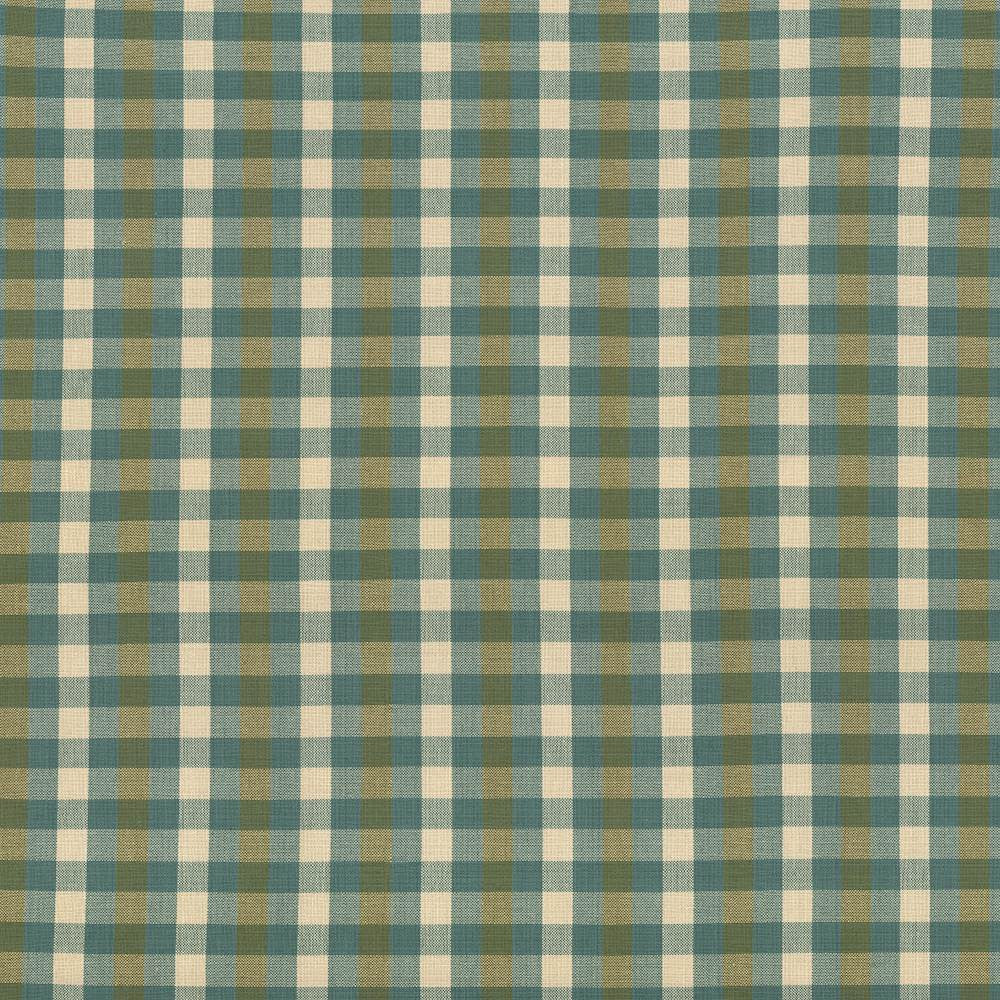 Pixie Plaid Basil by Kasmir Fabric 5090 100% Cotton
 INDIA </p><p>Repeat: Horizontal: 4 inches and Vertical: 2 inches 54 - Fabric Carolina -