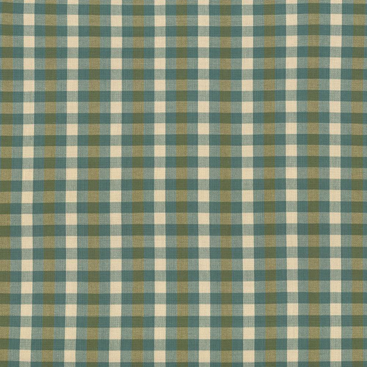 Pixie Plaid Basil by Kasmir Fabric 5090 100% Cotton
 INDIA </p><p>Repeat: Horizontal: 4 inches and Vertical: 2 inches 54 - Fabric Carolina -