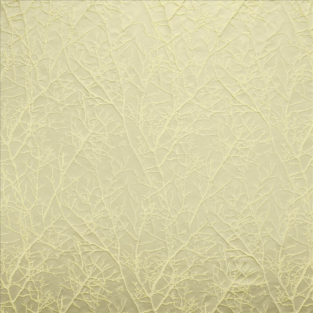 Pleased Linden by Kasmir Fabric 5147 100% Polyester
 INDIA </p><p>Repeat: Horizontal: 13 6/8 inches and Vertical: 13 6/8 inches 54 - Fabric Carolina -