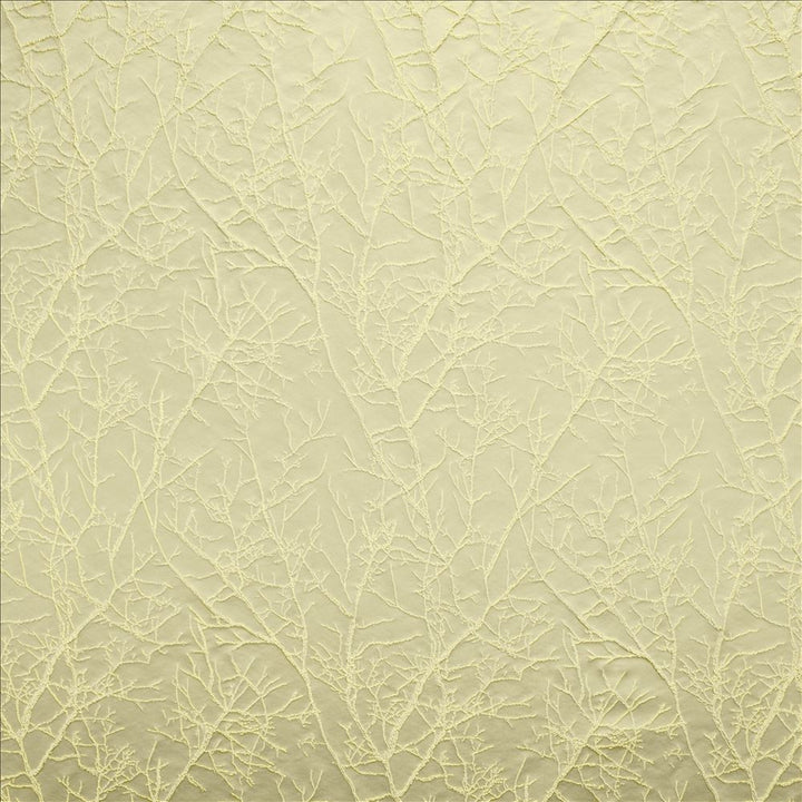 Pleased Linden by Kasmir Fabric 5147 100% Polyester
 INDIA </p><p>Repeat: Horizontal: 13 6/8 inches and Vertical: 13 6/8 inches 54 - Fabric Carolina -