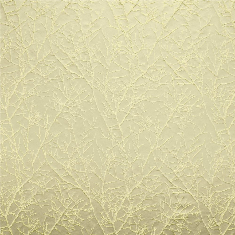 Pleased Linden by Kasmir Fabric 5147 100% Polyester
 INDIA 30,000 Wyzenbeek Double Rubs </p><p>Repeat: Horizontal: 13 6/8 inches and Vertical: 13 6/8 inches 54 - Fabric Carolina -