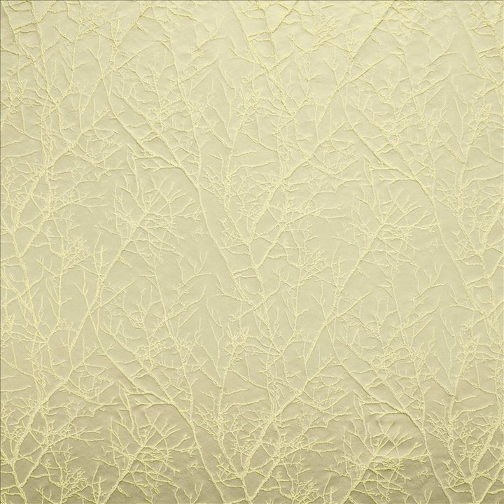 Pleased Linden by Kasmir Fabric 5147 100% Polyester INDIA 30,000 Wyzenbeek Double Rubs Horizontal: 13 6/8 inches and Vertical: 13 6/8 inches 54 - Fabric Carolina -