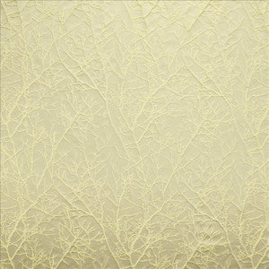 Pleased Linden by Kasmir Fabric