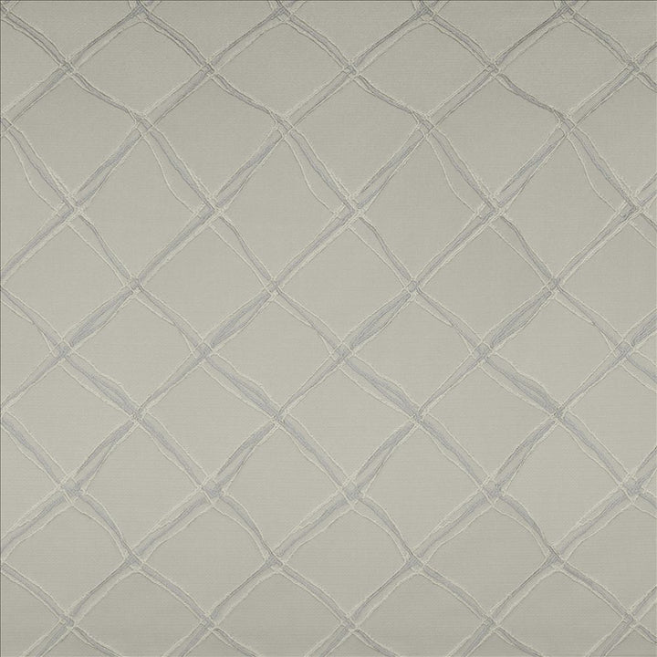Plexus Silver by Kasmir Fabric 5119 100% Polyester
 TURKEY </p><p>Repeat: Horizontal: 3 3/8 inches and Vertical: 14 inches 57 - 58 - Fabric Carolina -