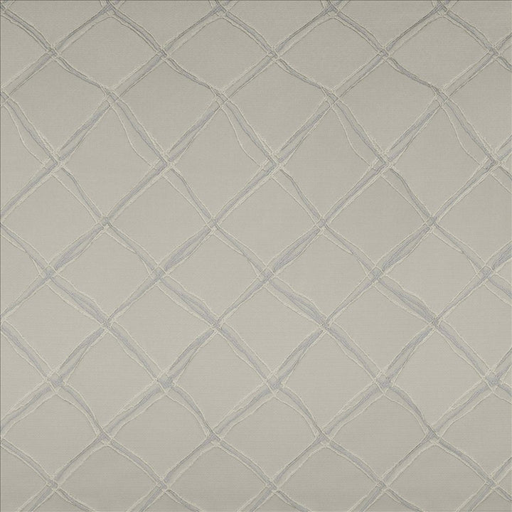 Plexus Silver by Kasmir Fabric 5119 100% Polyester TURKEY 30,000 Wyzenbeek Double Rubs Horizontal: 3 3/8 inches and Vertical: 14 inches 57 - 58 - Fabric Carolina -