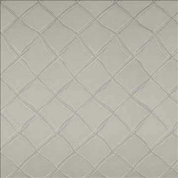 Plexus Silver by Kasmir Fabric 5119 100% Polyester TURKEY 30,000 Wyzenbeek Double Rubs H: 3 3/8 inches, V: 14 inches 57 - 58 - Fabric Carolina - Kasmir