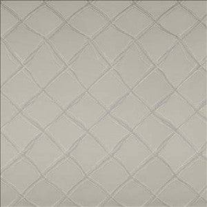 Plexus Silver by Kasmir Fabric