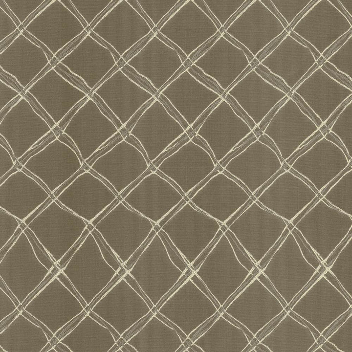 Plexus Stone by Kasmir Fabric 5110 100% Polyester
 TURKEY </p><p>Repeat: Horizontal: 3 3/8 inches and Vertical: 14 inches 57 - 58 - Fabric Carolina -