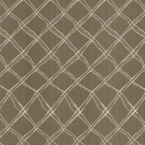 Plexus Stone by Kasmir Fabric