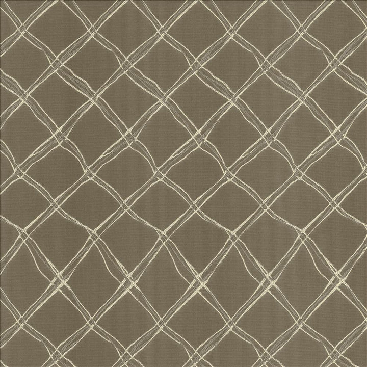 Plexus Stone by Kasmir Fabric 5110 100% Polyester
 TURKEY </p><p>Repeat: Horizontal: 3 3/8 inches and Vertical: 14 inches 57 - 58 - Fabric Carolina -