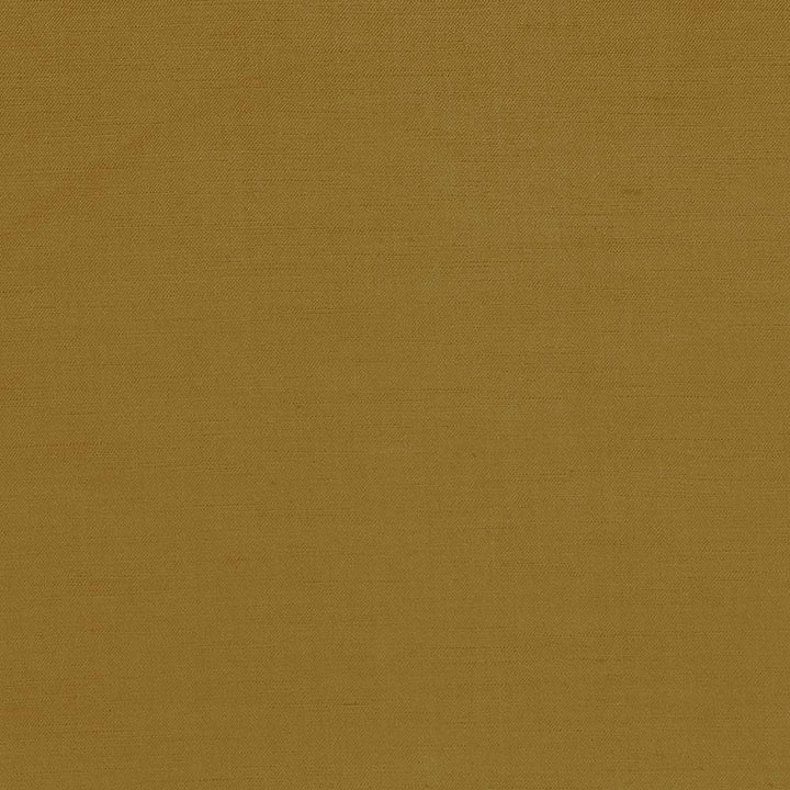 Plush Antique by Kasmir Fabric 5032 CHINA 5,000 Wyzenbeek Double Rubs H: N/A, V:N/A 54 - 55 - Fabric Carolina - Kasmir