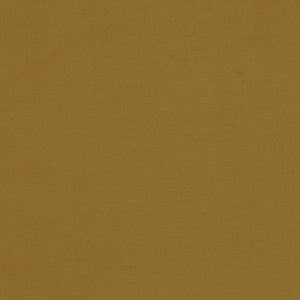 Plush Antique by Kasmir Fabric