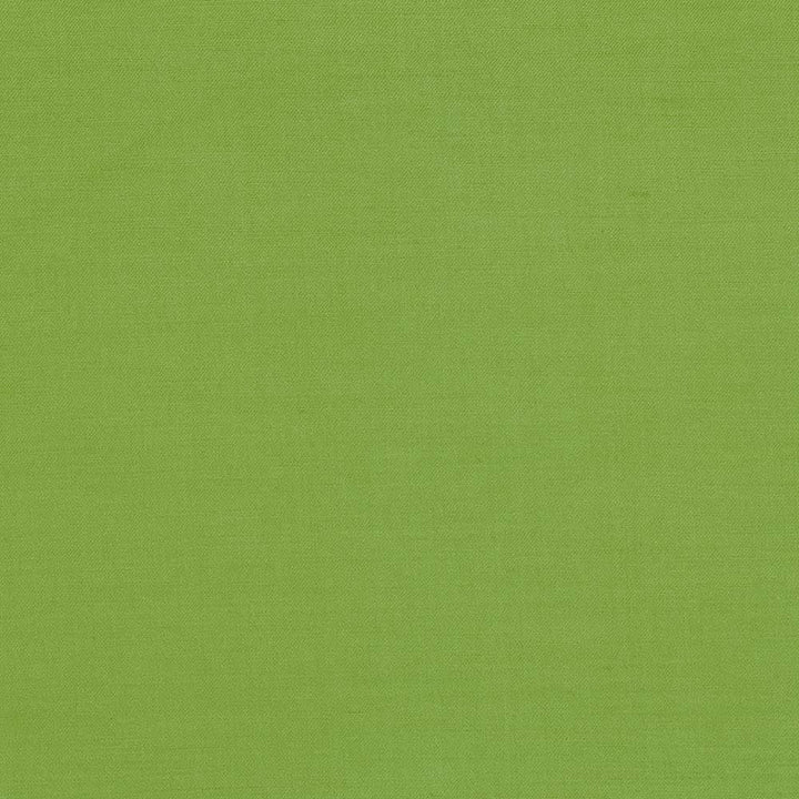 Plush Apple  by Kasmir Fabric See sample 57% Cotton
43% Rayon
 CHINA 5,000 Wyzenbeek Double Rubs </p><p>Repeat: Horizontal: N/A and Vertical: N/A 54  - Fabric Carolina -