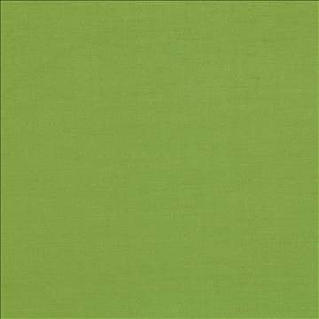 Plush Apple by Kasmir Fabric 5032 57% Cotton 43% Rayon CHINA 5,000 Wyzenbeek Double Rubs H: N/A, V: N/A 54 - 55 - Fabric Carolina - Kasmir
