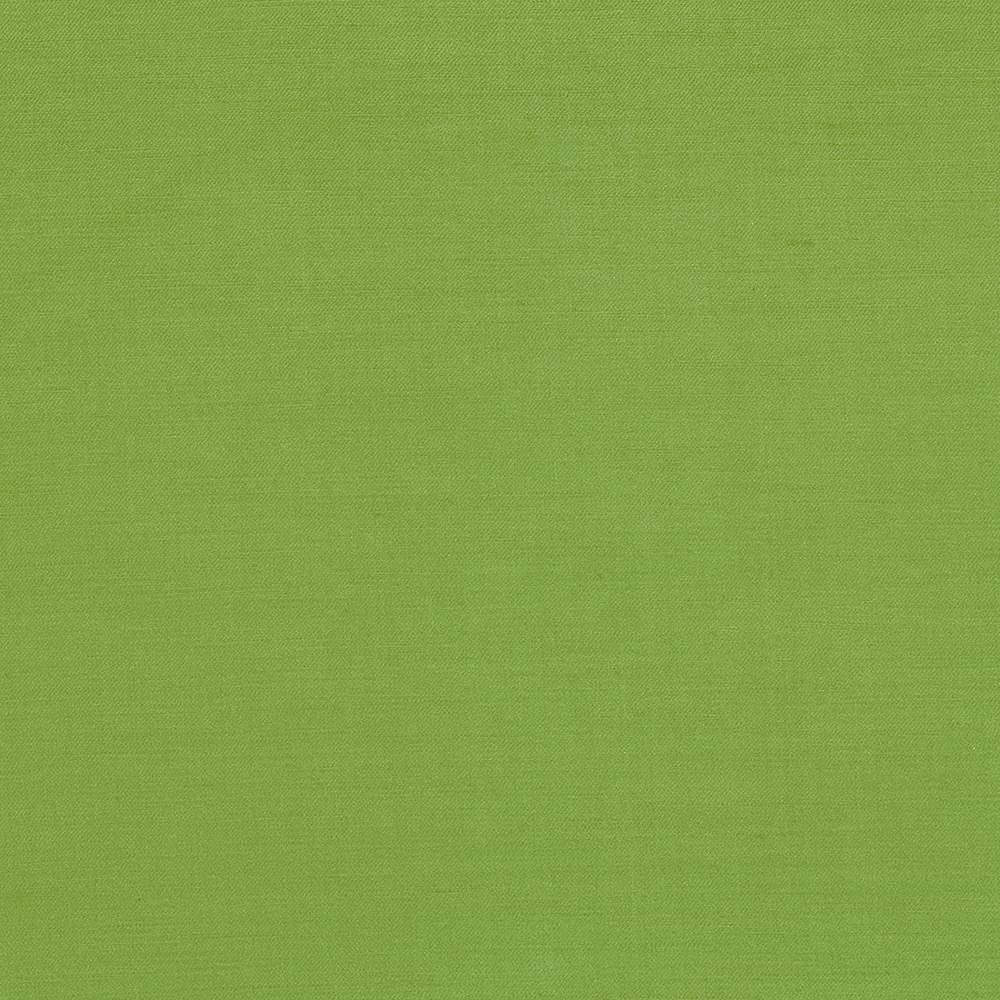 Plush Apple by Kasmir Fabric 5032 CHINA 5,000 Wyzenbeek Double Rubs H: N/A, V:N/A 54 - 55 - Fabric Carolina - Kasmir