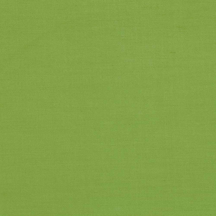 Plush Apple by Kasmir Fabric 5032 CHINA 5,000 Wyzenbeek Double Rubs H: N/A, V:N/A 54 - 55 - Fabric Carolina - Kasmir