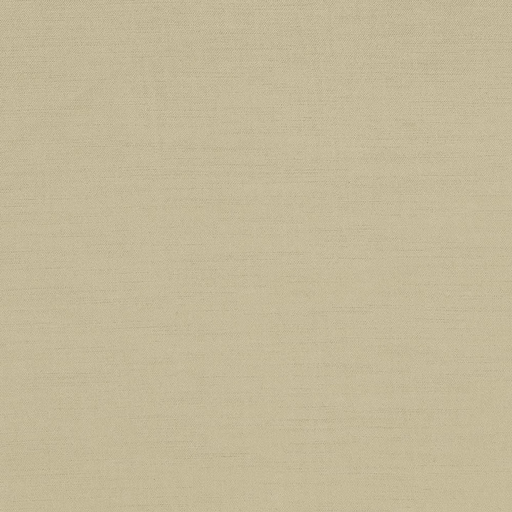 Plush Biscuit by Kasmir Fabric 5032 57% Cotton
43% Rayon
 CHINA </p><p>Repeat: Horizontal: N/A and Vertical: N/A 54 - 55 - Fabric Carolina -