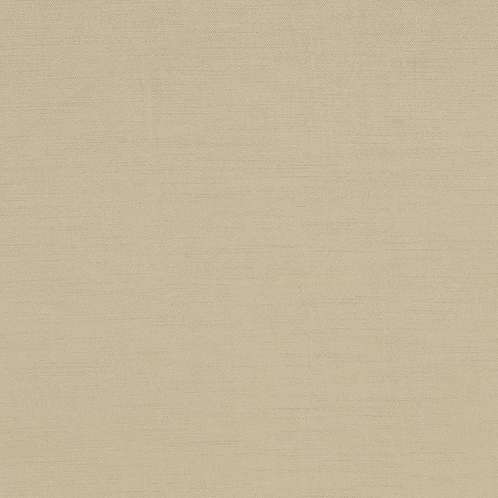 Plush Biscuit by Kasmir Fabric 5032 CHINA 5,000 Wyzenbeek Double Rubs H: N/A, V:N/A 54 - 55 - Fabric Carolina - Kasmir