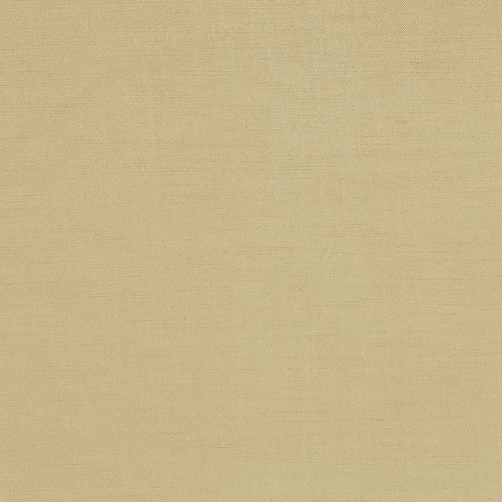Plush Camel by Kasmir Fabric 5032 57% Cotton
43% Rayon
 CHINA </p><p>Repeat: Horizontal: N/A and Vertical: N/A 54 - 55 - Fabric Carolina -