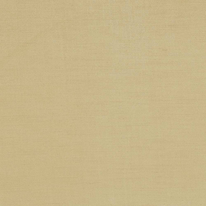 Plush Camel by Kasmir Fabric 5032 CHINA 5,000 Wyzenbeek Double Rubs H: N/A, V:N/A 54 - 55 - Fabric Carolina - Kasmir