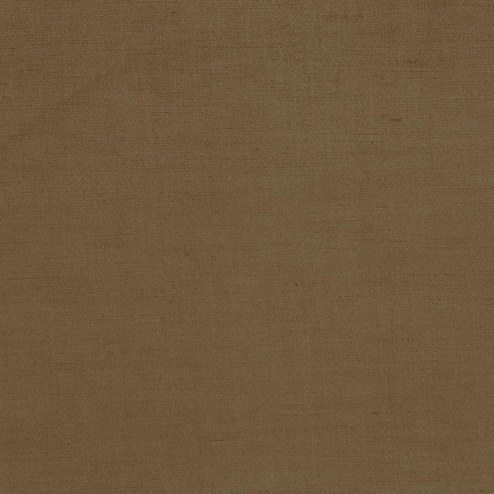Plush Chocolate by Kasmir Fabric 5032 57% Cotton 43% Rayon CHINA 5,000 Wyzenbeek Double Rubs Horizontal: 0 Inches and Vertical: 0 Inches 54 - 55 - Fabric Carolina -