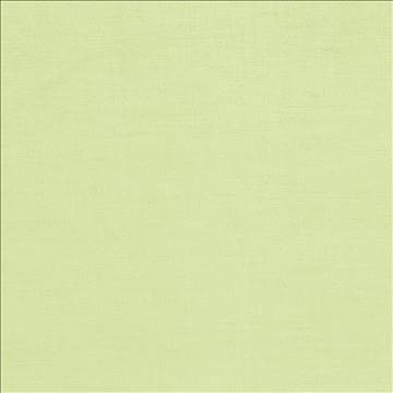 Plush Citrine by Kasmir Fabric 5032 57% Cotton 43% Rayon CHINA 5,000 Wyzenbeek Double Rubs H: N/A, V: N/A 54 - 55 - Fabric Carolina - Kasmir