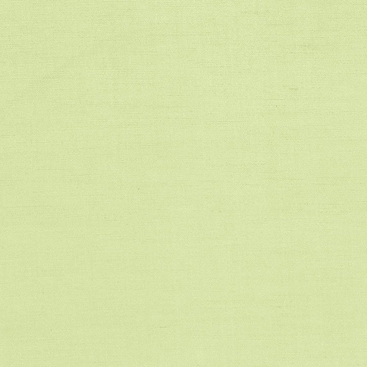 Plush Citrine by Kasmir Fabric 5032 CHINA 5,000 Wyzenbeek Double Rubs H: N/A, V:N/A 54 - 55 - Fabric Carolina - Kasmir
