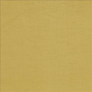 Plush Gold by Kasmir Fabric 5032 57% Cotton 43% Rayon CHINA 5,000 Wyzenbeek Double Rubs H: N/A, V: N/A 54 - 55 - Fabric Carolina - Kasmir