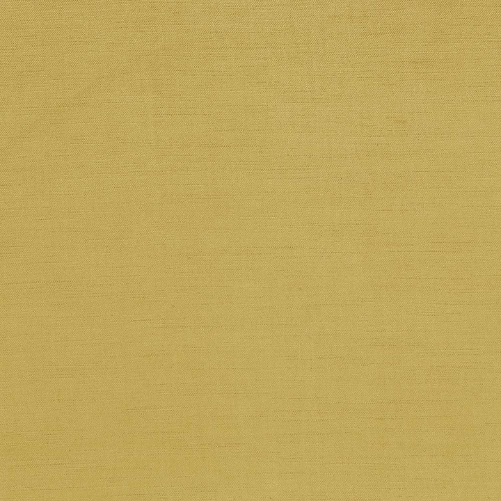 Plush Gold by Kasmir Fabric 5032 CHINA 5,000 Wyzenbeek Double Rubs H: N/A, V:N/A 54 - 55 - Fabric Carolina - Kasmir