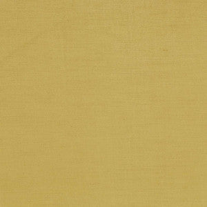 Plush Gold by Kasmir Fabric