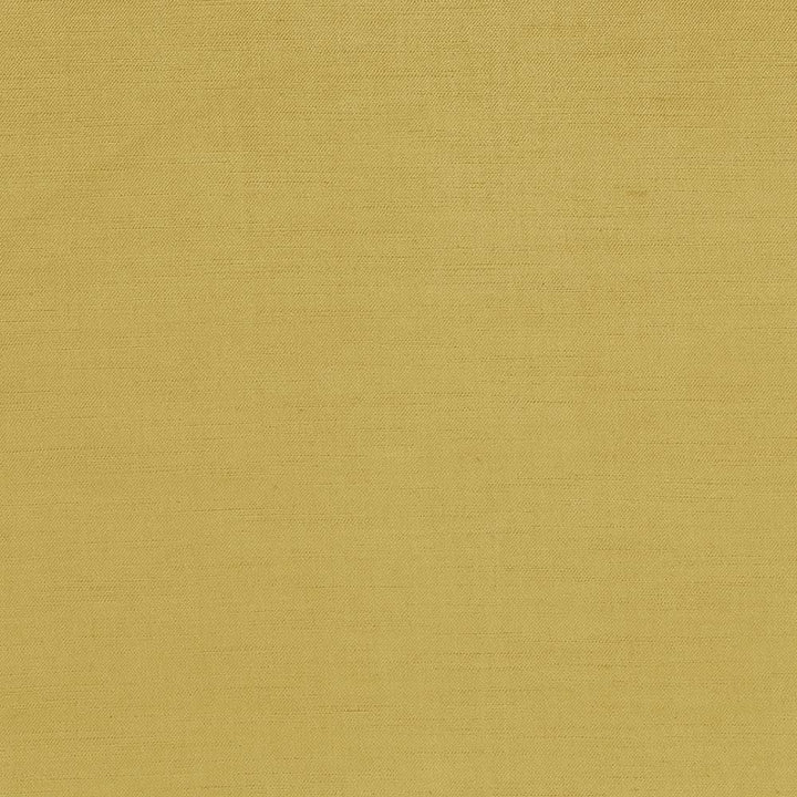 Plush Gold by Kasmir Fabric 5032 57% Cotton
43% Rayon
 CHINA </p><p>Repeat: Horizontal: N/A and Vertical: N/A 54 - 55 - Fabric Carolina -