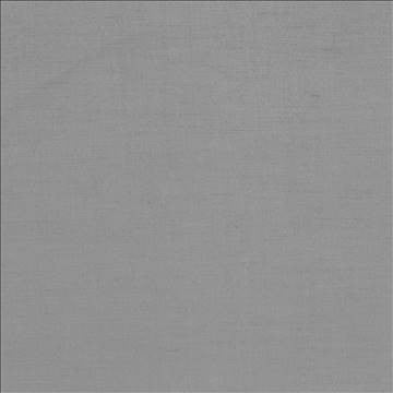 Plush Grey by Kasmir Fabric 5032 57% Cotton 43% Rayon CHINA 5,000 Wyzenbeek Double Rubs H: N/A, V: N/A 54 - 55 - Fabric Carolina - Kasmir