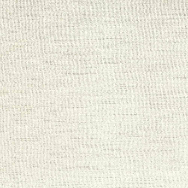 Plush Ivory by Kasmir Fabric 5032 CHINA 5,000 Wyzenbeek Double Rubs H: N/A, V:N/A 54 - 55 - Fabric Carolina - Kasmir