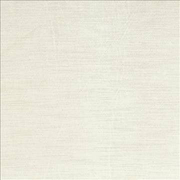 Plush Ivory by Kasmir Fabric 5032 57% Cotton 43% Rayon CHINA 5,000 Wyzenbeek Double Rubs H: N/A, V: N/A 54 - 55 - Fabric Carolina - Kasmir