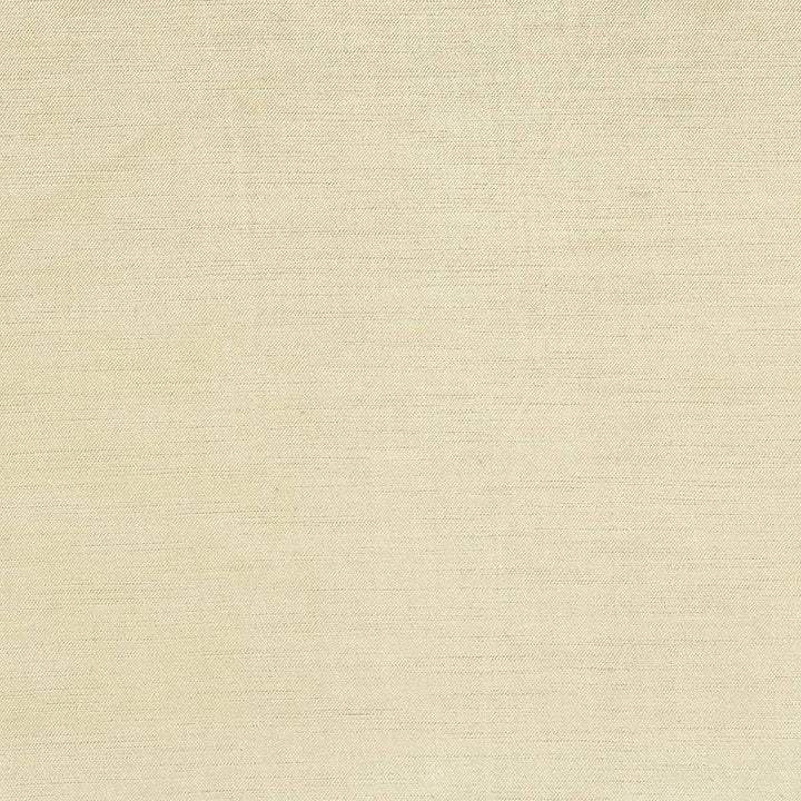 Plush Jute by Kasmir Fabric 5032 CHINA 5,000 Wyzenbeek Double Rubs H: N/A, V:N/A 54 - 55 - Fabric Carolina - Kasmir