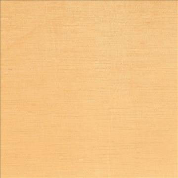 Plush Orange by Kasmir Fabric 5032 57% Cotton 43% Rayon CHINA 5,000 Wyzenbeek Double Rubs H: N/A, V: N/A 54 - 55 - Fabric Carolina - Kasmir