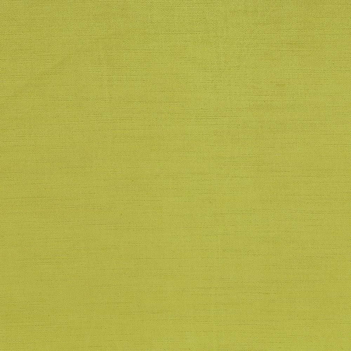 Plush Pistachio by Kasmir Fabric 5032 57% Cotton
43% Rayon
 CHINA 5,000 Wyzenbeek Double Rubs </p><p>Repeat: Horizontal: N/A and Vertical: N/A 54 - Fabric Carolina -