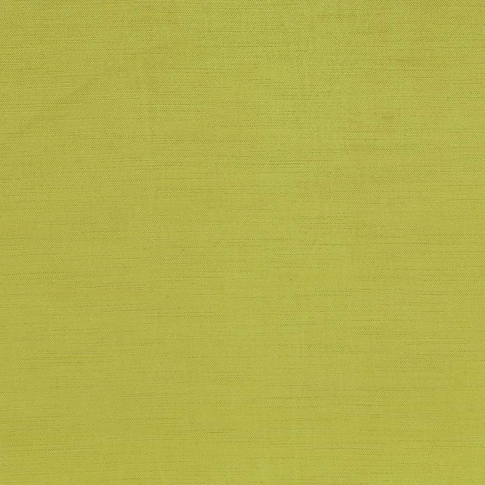 Plush Pistachio by Kasmir Fabric 5032 CHINA 5,000 Wyzenbeek Double Rubs H: N/A, V:N/A 54 - 55 - Fabric Carolina - Kasmir