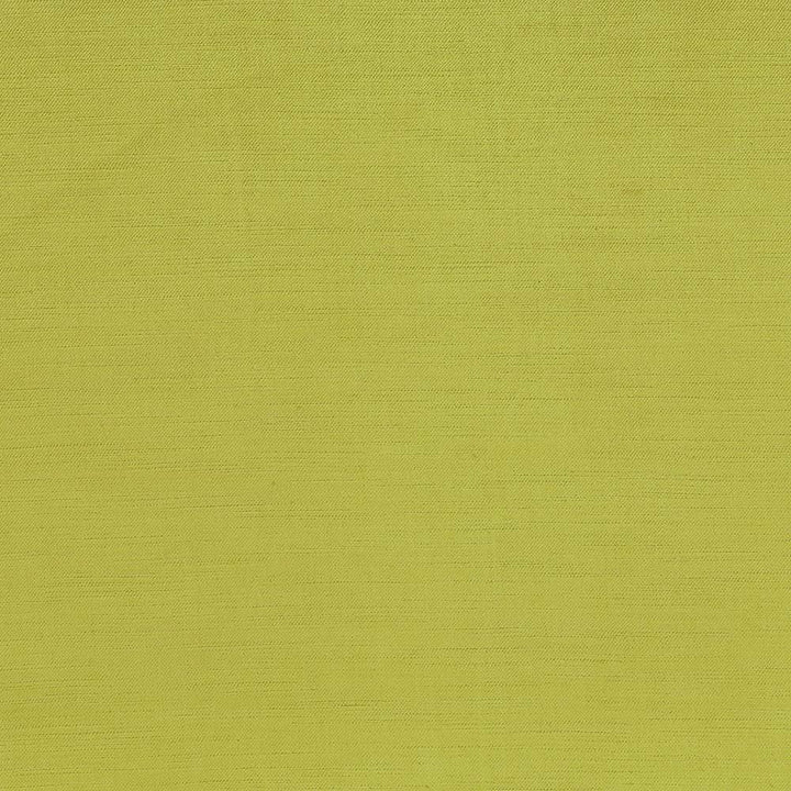 Plush Pistachio by Kasmir Fabric 5032 CHINA 5,000 Wyzenbeek Double Rubs H: N/A, V:N/A 54 - 55 - Fabric Carolina - Kasmir