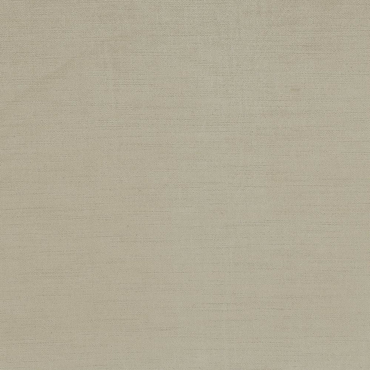 Plush Platinum  by Kasmir Fabric See sample 57% Cotton
43% Rayon
 CHINA 5,000 Wyzenbeek Double Rubs </p><p>Repeat: Horizontal: N/A and Vertical: N/A 54  - Fabric Carolina -