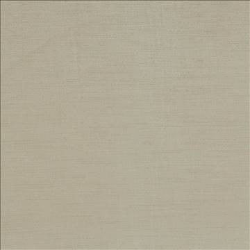 Plush Platinum by Kasmir Fabric 5032 57% Cotton 43% Rayon CHINA 5,000 Wyzenbeek Double Rubs H: N/A, V: N/A 54 - 55 - Fabric Carolina - Kasmir