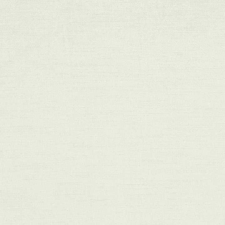 Plush Silver by Kasmir Fabric 5032 CHINA 5,000 Wyzenbeek Double Rubs H: N/A, V:N/A 54 - 55 - Fabric Carolina - Kasmir