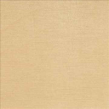 Plush Taupe by Kasmir Fabric 5032 57% Cotton 43% Rayon CHINA 5,000 Wyzenbeek Double Rubs H: N/A, V: N/A 54 - 55 - Fabric Carolina - Kasmir