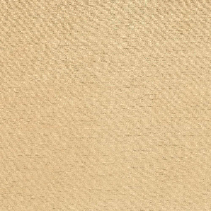 Plush Taupe by Kasmir Fabric 5032 CHINA 5,000 Wyzenbeek Double Rubs H: N/A, V:N/A 54 - 55 - Fabric Carolina - Kasmir