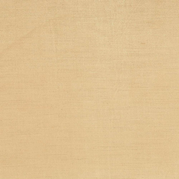 Plush Taupe by Kasmir Fabric 5032 57% Cotton 43% Rayon CHINA 5,000 Wyzenbeek Double Rubs Horizontal: 0 Inches and Vertical: 0 Inches 54 - 55 - Fabric Carolina -