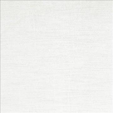 Plush White by Kasmir Fabric 5032 57% Cotton 43% Rayon CHINA 5,000 Wyzenbeek Double Rubs H: N/A, V: N/A 54 - 55 - Fabric Carolina - Kasmir