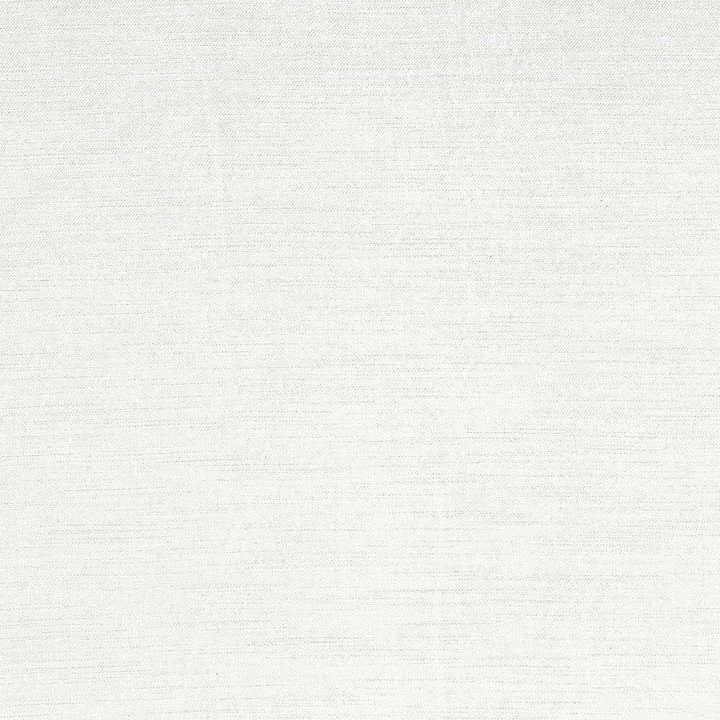 Plush White by Kasmir Fabric 5032 CHINA 5,000 Wyzenbeek Double Rubs H: N/A, V:N/A 54 - 55 - Fabric Carolina - Kasmir
