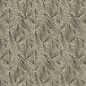 Point Of View Smoke by Kasmir Fabric