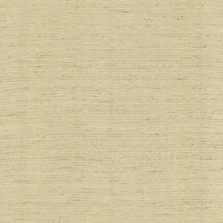 Polished Foam by Kasmir Fabric 5153 100% Polyester
 INDIA </p><p>Repeat: Horizontal: N/A and Vertical: N/A 55 - Fabric Carolina -