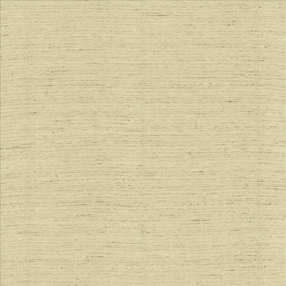 Polished Foam by Kasmir Fabric 5153 100% Polyester INDIA 51,000 Wyzenbeek Double Rubs Horizontal: 0 Inches and Vertical: 0 Inches 55 - Fabric Carolina -